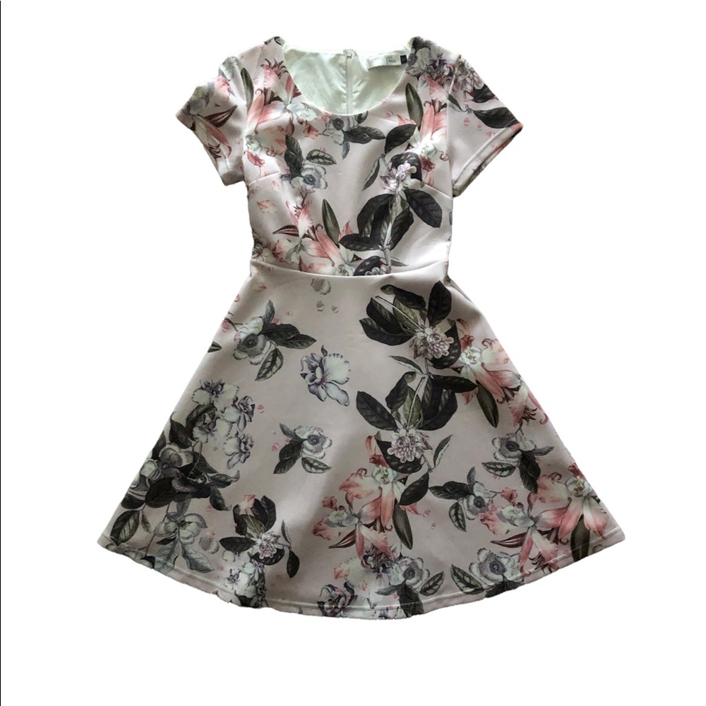 Showpo floral skater dress in blush